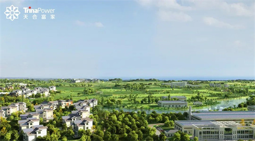 分布式光伏“大浪淘沙” 什么是打造新質(zhì)生產(chǎn)力的關(guān)鍵？