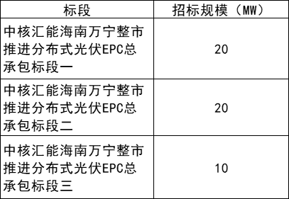 中核海南萬(wàn)寧整市推進(jìn)分布式光伏EPC中標候選人公示