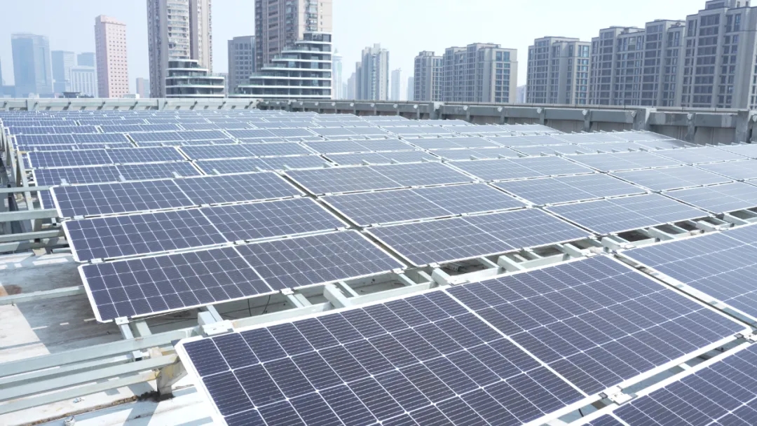 20240402_084512_003.jpg 20240402_084512_003.jpg